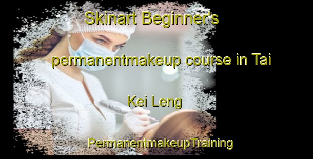 Skinart Beginner's permanentmakeup course in Tai Kei Leng | PermanentmakeupTraining | PermanentmakeupClasses | SkinartTraining-Hong Kong