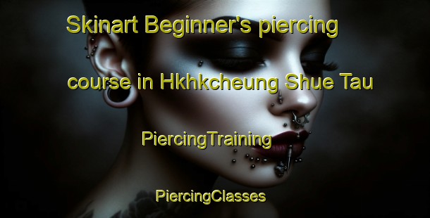 Skinart Beginner's piercing course in Hkhkcheung Shue Tau | PiercingTraining | PiercingClasses | SkinartTraining-Hong Kong