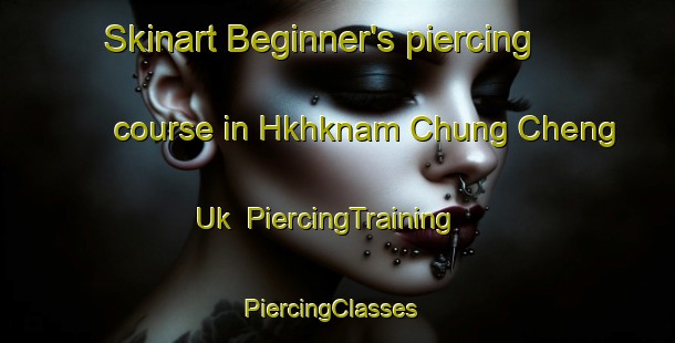 Skinart Beginner's piercing course in Hkhknam Chung Cheng Uk | PiercingTraining | PiercingClasses | SkinartTraining-Hong Kong