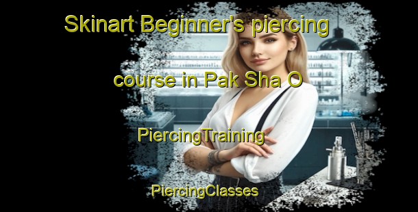 Skinart Beginner's piercing course in Pak Sha O | PiercingTraining | PiercingClasses | SkinartTraining-Hong Kong