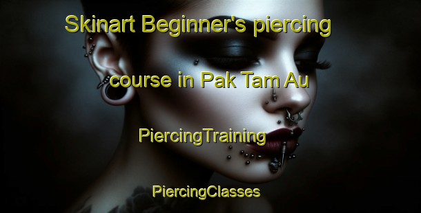 Skinart Beginner's piercing course in Pak Tam Au | PiercingTraining | PiercingClasses | SkinartTraining-Hong Kong