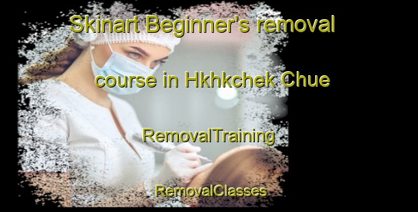 Skinart Beginner's removal course in Hkhkchek Chue | RemovalTraining | RemovalClasses | SkinartTraining-Hong Kong