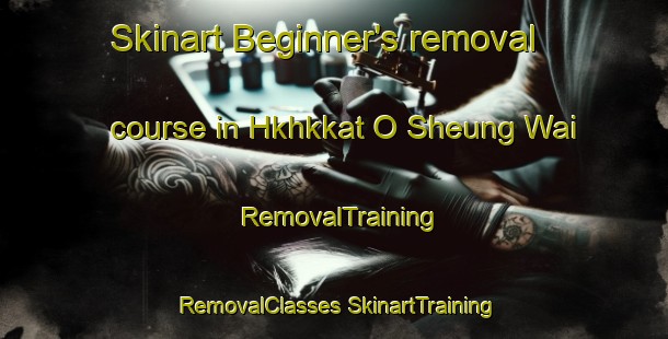 Skinart Beginner's removal course in Hkhkkat O Sheung Wai | #RemovalTraining #RemovalClasses #SkinartTraining-Hong Kong