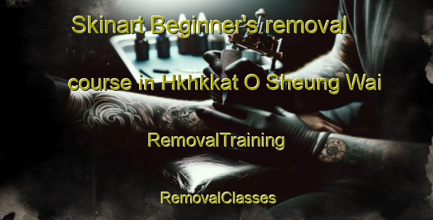 Skinart Beginner's removal course in Hkhkkat O Sheung Wai | RemovalTraining | RemovalClasses | SkinartTraining-Hong Kong