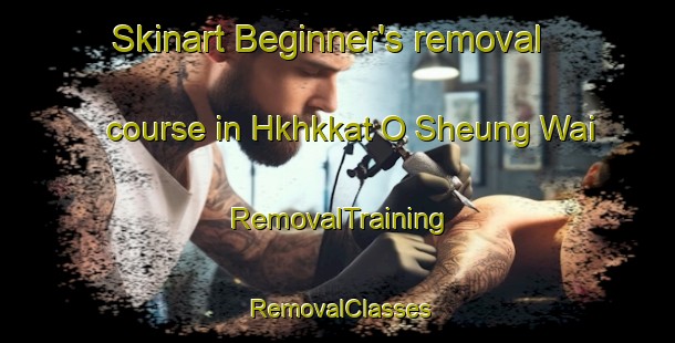 Skinart Beginner's removal course in Hkhkkat O Sheung Wai | RemovalTraining | RemovalClasses | SkinartTraining-Hong Kong