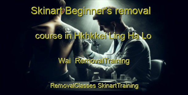 Skinart Beginner's removal course in Hkhkkei Ling Ha Lo Wai | #RemovalTraining #RemovalClasses #SkinartTraining-Hong Kong