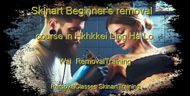 Skinart Beginner's removal course in Hkhkkei Ling Ha Lo Wai | #RemovalTraining #RemovalClasses #SkinartTraining-Hong Kong