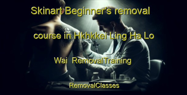 Skinart Beginner's removal course in Hkhkkei Ling Ha Lo Wai | RemovalTraining | RemovalClasses | SkinartTraining-Hong Kong