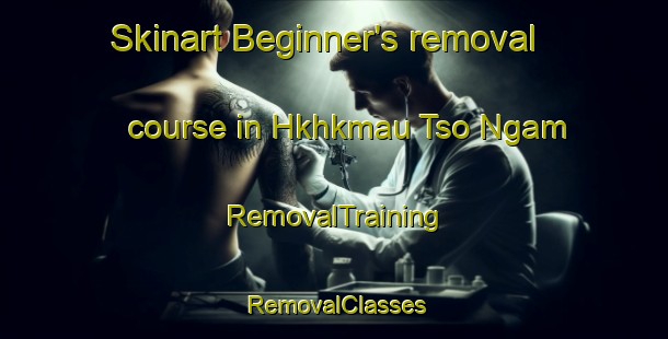 Skinart Beginner's removal course in Hkhkmau Tso Ngam | RemovalTraining | RemovalClasses | SkinartTraining-Hong Kong