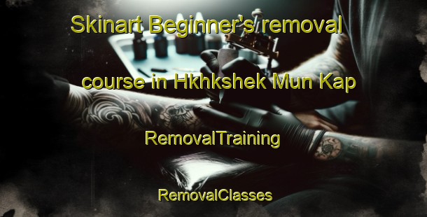 Skinart Beginner's removal course in Hkhkshek Mun Kap | RemovalTraining | RemovalClasses | SkinartTraining-Hong Kong