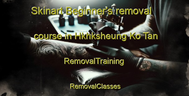 Skinart Beginner's removal course in Hkhksheung Ko Tan | RemovalTraining | RemovalClasses | SkinartTraining-Hong Kong