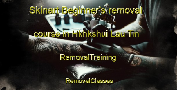 Skinart Beginner's removal course in Hkhkshui Lau Tin | RemovalTraining | RemovalClasses | SkinartTraining-Hong Kong