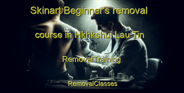 Skinart Beginner's removal course in Hkhkshui Lau Tin | RemovalTraining | RemovalClasses | SkinartTraining-Hong Kong
