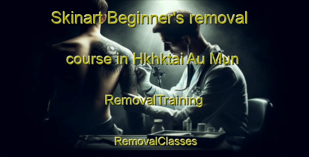 Skinart Beginner's removal course in Hkhktai Au Mun | RemovalTraining | RemovalClasses | SkinartTraining-Hong Kong