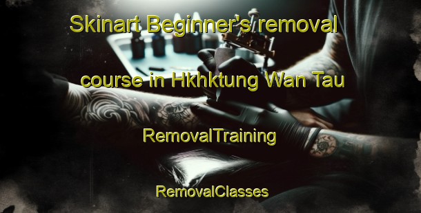Skinart Beginner's removal course in Hkhktung Wan Tau | RemovalTraining | RemovalClasses | SkinartTraining-Hong Kong