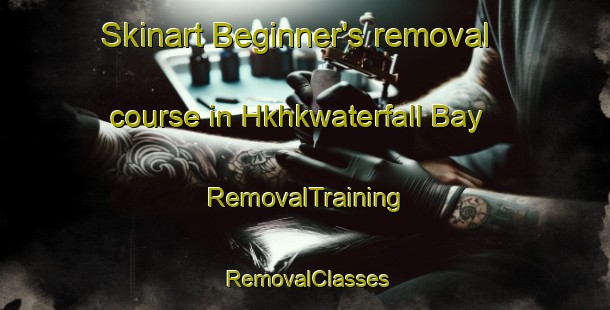 Skinart Beginner's removal course in Hkhkwaterfall Bay | RemovalTraining | RemovalClasses | SkinartTraining-Hong Kong