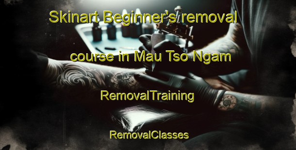 Skinart Beginner's removal course in Mau Tso Ngam | RemovalTraining | RemovalClasses | SkinartTraining-Hong Kong