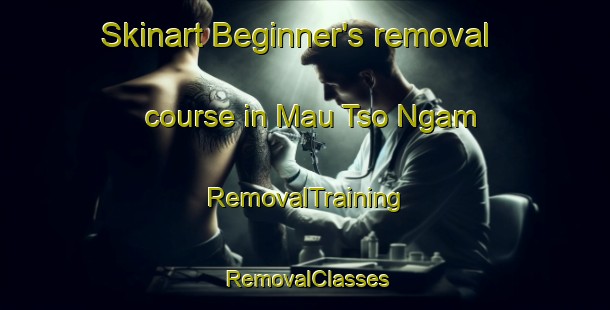 Skinart Beginner's removal course in Mau Tso Ngam | RemovalTraining | RemovalClasses | SkinartTraining-Hong Kong