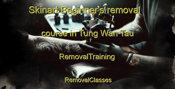 Skinart Beginner's removal course in Tung Wan Tau | RemovalTraining | RemovalClasses | SkinartTraining-Hong Kong