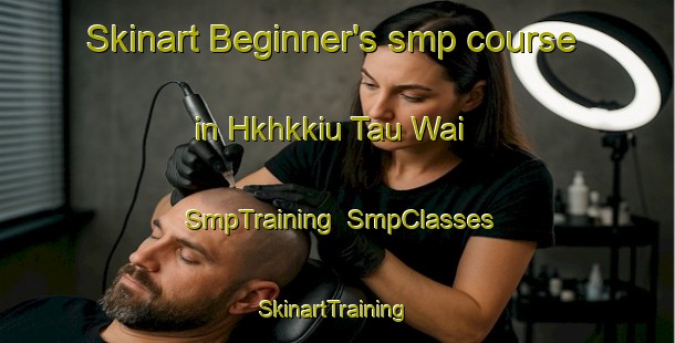 Skinart Beginner's smp course in Hkhkkiu Tau Wai | SmpTraining | SmpClasses | SkinartTraining-Hong Kong