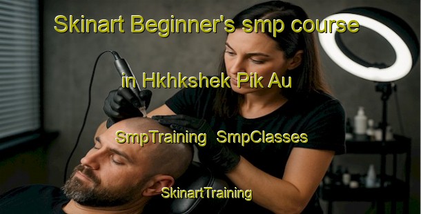 Skinart Beginner's smp course in Hkhkshek Pik Au | SmpTraining | SmpClasses | SkinartTraining-Hong Kong