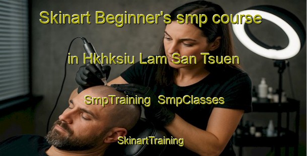Skinart Beginner's smp course in Hkhksiu Lam San Tsuen | SmpTraining | SmpClasses | SkinartTraining-Hong Kong