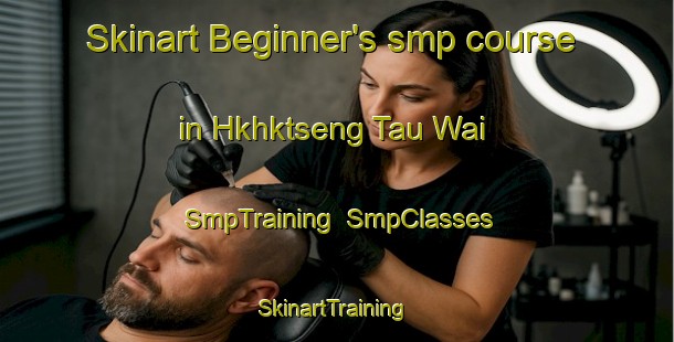 Skinart Beginner's smp course in Hkhktseng Tau Wai | SmpTraining | SmpClasses | SkinartTraining-Hong Kong