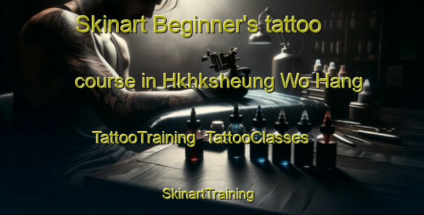 Skinart Beginner's tattoo course in Hkhksheung Wo Hang | TattooTraining | TattooClasses | SkinartTraining-Hong Kong