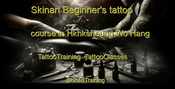 Skinart Beginner's tattoo course in Hkhksheung Wo Hang | TattooTraining | TattooClasses | SkinartTraining-Hong Kong