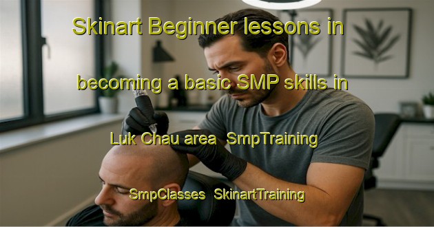 Skinart Beginner lessons in becoming a basic SMP skills in Luk Chau area | SmpTraining | SmpClasses | SkinartTraining-Hong Kong