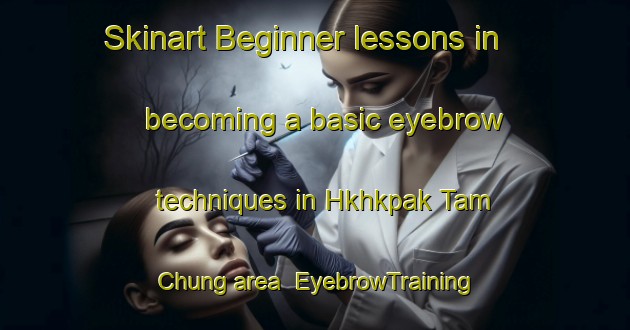 Skinart Beginner lessons in becoming a basic eyebrow techniques in Hkhkpak Tam Chung area | EyebrowTraining | EyebrowClasses | SkinartTraining-Hong Kong