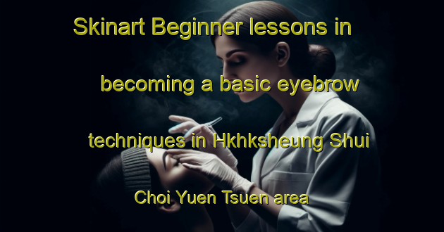 Skinart Beginner lessons in becoming a basic eyebrow techniques in Hkhksheung Shui Choi Yuen Tsuen area | EyebrowTraining | EyebrowClasses | SkinartTraining-Hong Kong