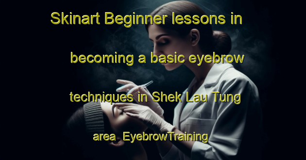 Skinart Beginner lessons in becoming a basic eyebrow techniques in Shek Lau Tung area | EyebrowTraining | EyebrowClasses | SkinartTraining-Hong Kong