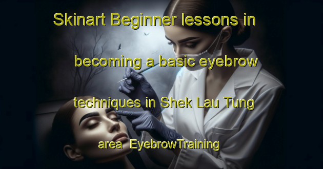 Skinart Beginner lessons in becoming a basic eyebrow techniques in Shek Lau Tung area | EyebrowTraining | EyebrowClasses | SkinartTraining-Hong Kong