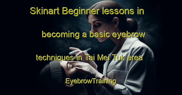 Skinart Beginner lessons in becoming a basic eyebrow techniques in Tai Mei Tuk area | EyebrowTraining | EyebrowClasses | SkinartTraining-Hong Kong
