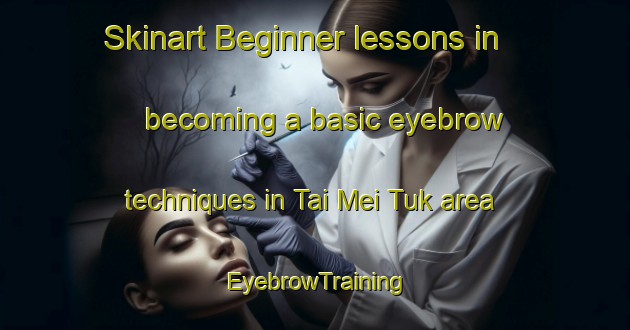 Skinart Beginner lessons in becoming a basic eyebrow techniques in Tai Mei Tuk area | EyebrowTraining | EyebrowClasses | SkinartTraining-Hong Kong