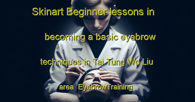 Skinart Beginner lessons in becoming a basic eyebrow techniques in Tai Tung Wo Liu area | EyebrowTraining | EyebrowClasses | SkinartTraining-Hong Kong
