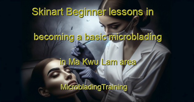 Skinart Beginner lessons in becoming a basic microblading in Ma Kwu Lam area | MicrobladingTraining | MicrobladingClasses | SkinartTraining-Hong Kong