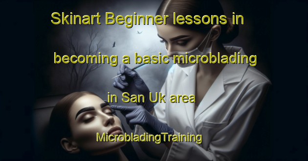 Skinart Beginner lessons in becoming a basic microblading in San Uk area | MicrobladingTraining | MicrobladingClasses | SkinartTraining-Hong Kong