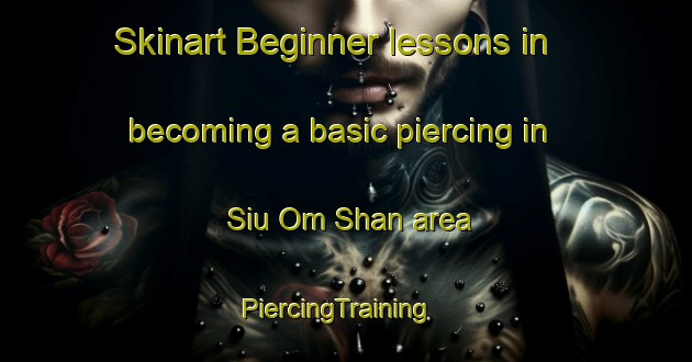 Skinart Beginner lessons in becoming a basic piercing in Siu Om Shan area | PiercingTraining | PiercingClasses | SkinartTraining-Hong Kong