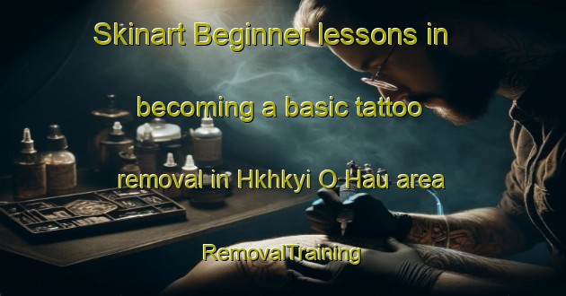 Skinart Beginner lessons in becoming a basic tattoo removal in Hkhkyi O Hau area | RemovalTraining | RemovalClasses | SkinartTraining-Hong Kong