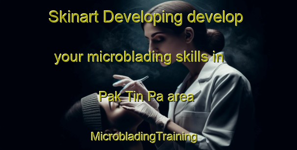 Skinart Developing develop your microblading skills in Pak Tin Pa area | MicrobladingTraining | MicrobladingClasses | SkinartTraining-Hong Kong