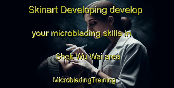 Skinart Developing develop your microblading skills in Shek Wu Wai area | MicrobladingTraining | MicrobladingClasses | SkinartTraining-Hong Kong