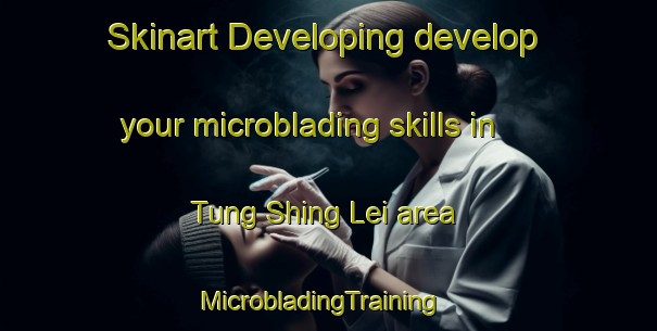 Skinart Developing develop your microblading skills in Tung Shing Lei area | MicrobladingTraining | MicrobladingClasses | SkinartTraining-Hong Kong