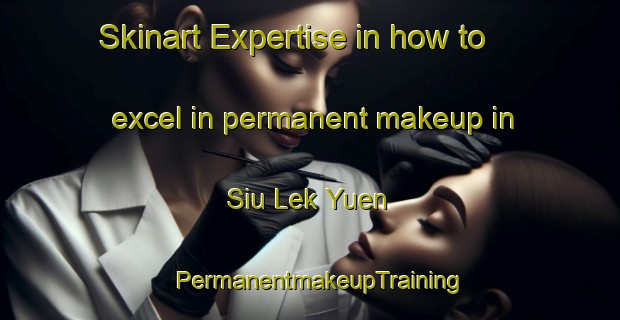 Skinart Expertise in how to excel in permanent makeup in Siu Lek Yuen | PermanentmakeupTraining | PermanentmakeupClasses | SkinartTraining-Hong Kong