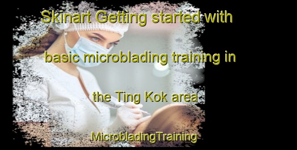 Skinart Getting started with basic microblading training in the Ting Kok area | MicrobladingTraining | MicrobladingClasses | SkinartTraining-Hong Kong