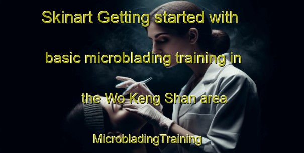 Skinart Getting started with basic microblading training in the Wo Keng Shan area | MicrobladingTraining | MicrobladingClasses | SkinartTraining-Hong Kong