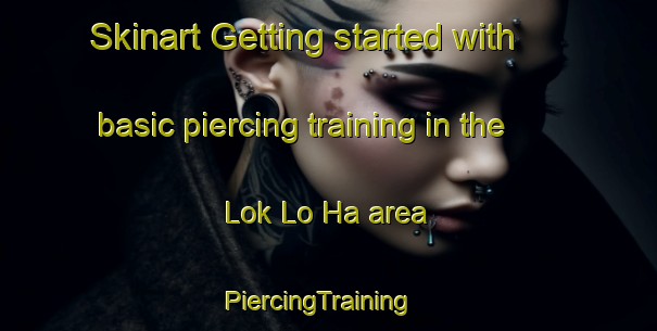 Skinart Getting started with basic piercing training in the Lok Lo Ha area | PiercingTraining | PiercingClasses | SkinartTraining-Hong Kong