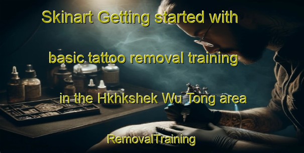 Skinart Getting started with basic tattoo removal training in the Hkhkshek Wu Tong area | RemovalTraining | RemovalClasses | SkinartTraining-Hong Kong