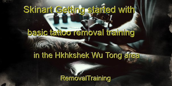 Skinart Getting started with basic tattoo removal training in the Hkhkshek Wu Tong area | RemovalTraining | RemovalClasses | SkinartTraining-Hong Kong